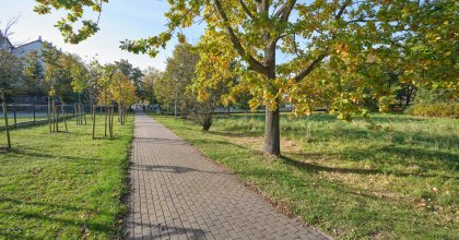 ul. Koszalińska, CMENTARZ-PARK (wez) (12)